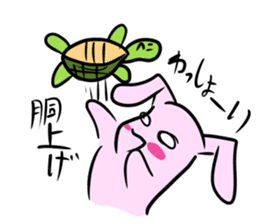 Tortoise and the Hare sticker #867385