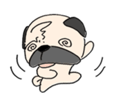 sloth pug sticker #868684