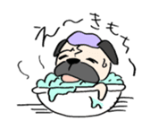 sloth pug sticker #868690