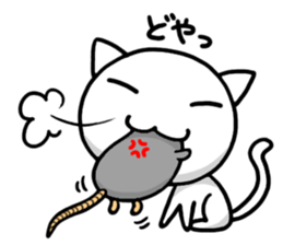 white kitten sticker #868773