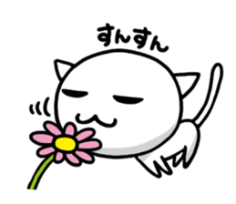 white kitten sticker #868777