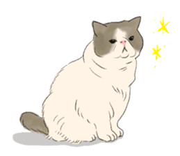 GACHAKO. The beloved cat sticker #869079