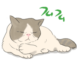 GACHAKO. The beloved cat sticker #869080