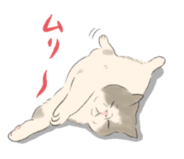 GACHAKO. The beloved cat sticker #869081