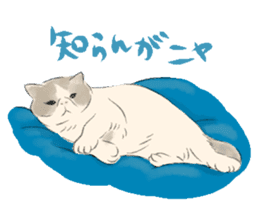 GACHAKO. The beloved cat sticker #869083