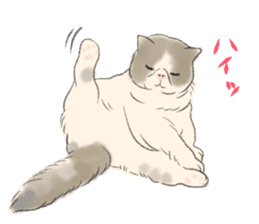 GACHAKO. The beloved cat sticker #869084