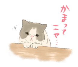 GACHAKO. The beloved cat sticker #869085