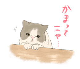 GACHAKO. The beloved cat sticker #869085