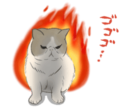 GACHAKO. The beloved cat sticker #869086