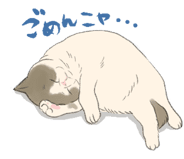GACHAKO. The beloved cat sticker #869087
