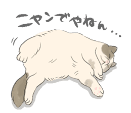 GACHAKO. The beloved cat sticker #869088