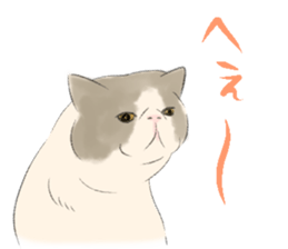 GACHAKO. The beloved cat sticker #869089