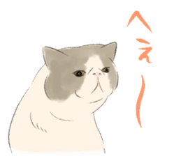 GACHAKO. The beloved cat sticker #869089