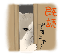 GACHAKO. The beloved cat sticker #869090