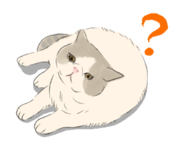 GACHAKO. The beloved cat sticker #869093