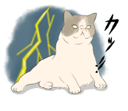 GACHAKO. The beloved cat sticker #869094