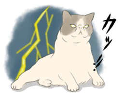 GACHAKO. The beloved cat sticker #869094