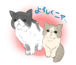 GACHAKO. The beloved cat sticker #869096