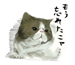 GACHAKO. The beloved cat sticker #869098