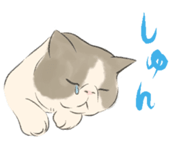 GACHAKO. The beloved cat sticker #869104