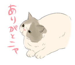 GACHAKO. The beloved cat sticker #869105
