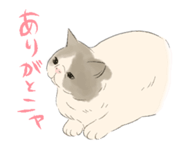 GACHAKO. The beloved cat sticker #869105