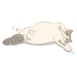 GACHAKO. The beloved cat sticker #869106