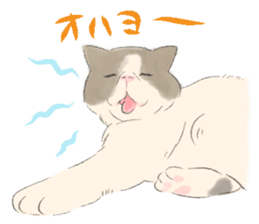 GACHAKO. The beloved cat sticker #869107
