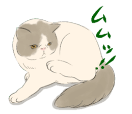 GACHAKO. The beloved cat sticker #869113