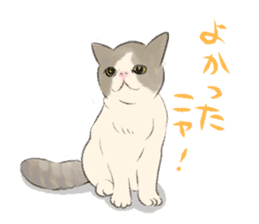 GACHAKO. The beloved cat sticker #869114