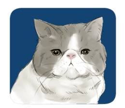 GACHAKO. The beloved cat sticker #869116