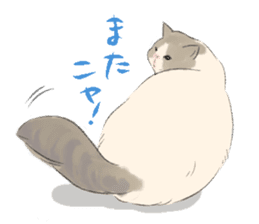 GACHAKO. The beloved cat sticker #869118
