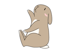 Holland rop ear rabbit Moco sticker #871964