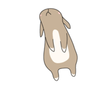 Holland rop ear rabbit Moco sticker #871967