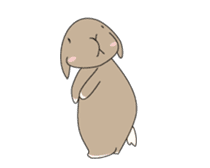 Holland rop ear rabbit Moco sticker #871971