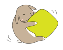 Holland rop ear rabbit Moco sticker #871972