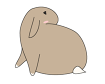 Holland rop ear rabbit Moco sticker #871973