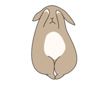 Holland rop ear rabbit Moco sticker #871976