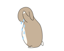 Holland rop ear rabbit Moco sticker #871981