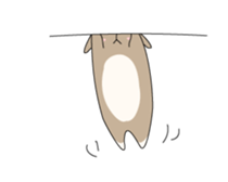 Holland rop ear rabbit Moco sticker #871984