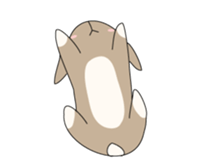 Holland rop ear rabbit Moco sticker #871990