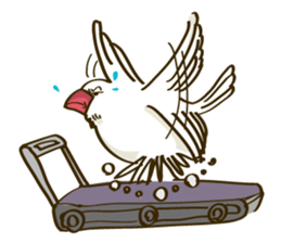 Java Sparrow sticker #872721