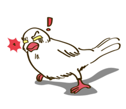 Java Sparrow sticker #872723