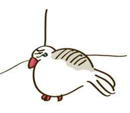 Java Sparrow sticker #872726