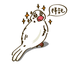 Java Sparrow sticker #872728