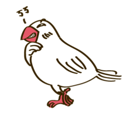 Java Sparrow sticker #872731