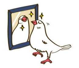 Java Sparrow sticker #872736