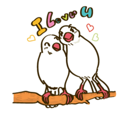 Java Sparrow sticker #872751