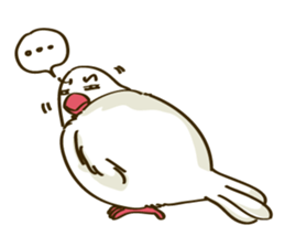 Java Sparrow sticker #872752