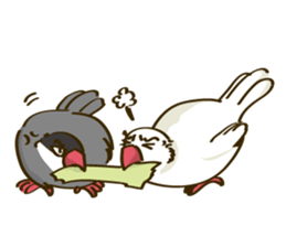 Java Sparrow sticker #872754